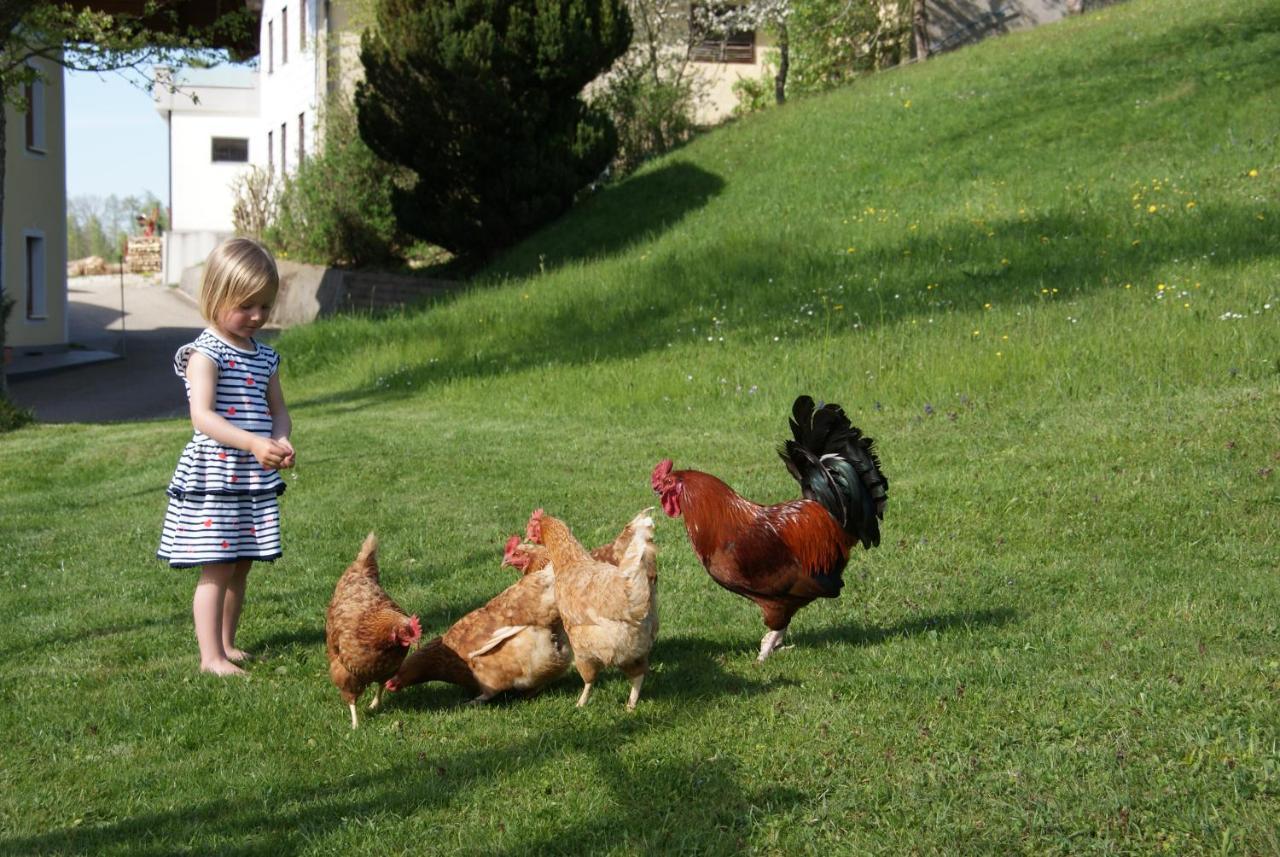Ferienhof Edtmeier Zell am Moos Eksteriør bilde