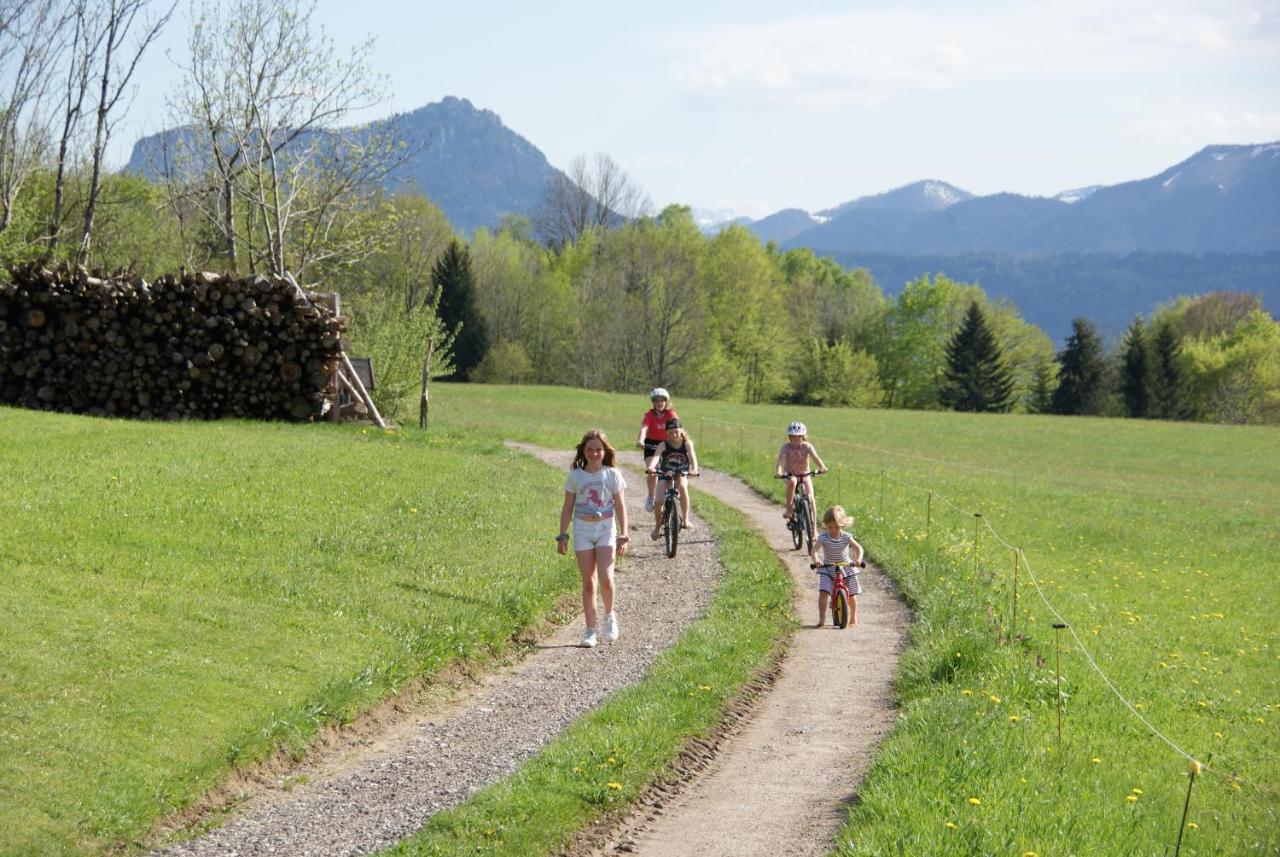 Ferienhof Edtmeier Zell am Moos Eksteriør bilde